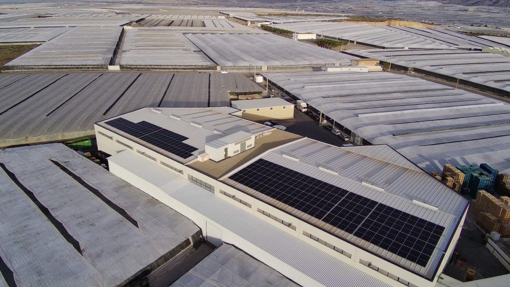 ISE Energía construye una instalación de autoconsumo para Original Fresh